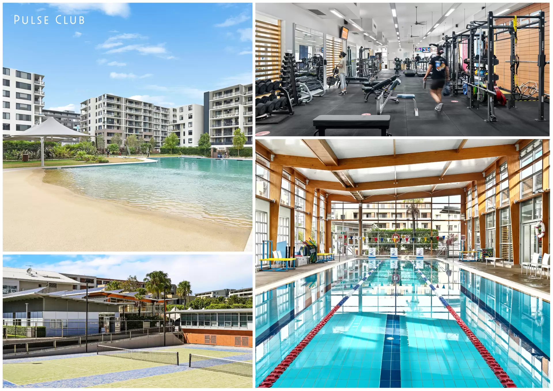402/8 Marine Parade, Wentworth Point For Sale by Chidiac Realty - image 1