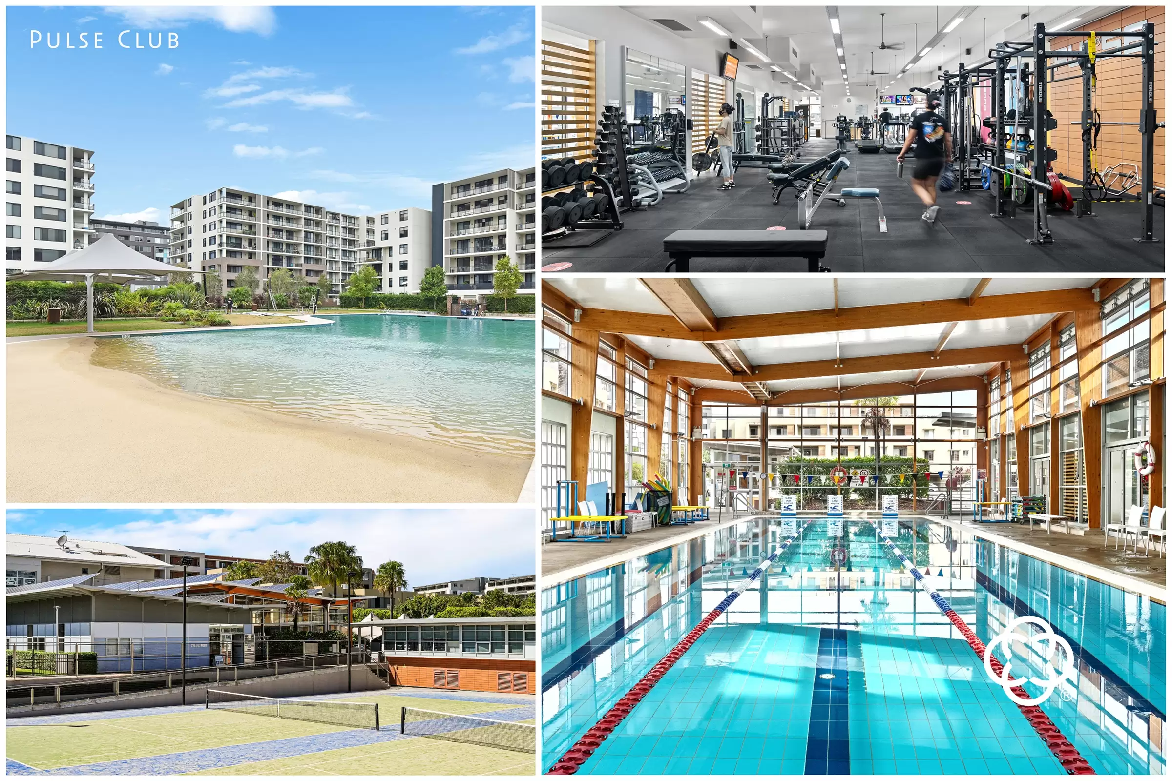 9007/16 Amalfi Drive, Wentworth Point Leased by Chidiac Realty - image 9