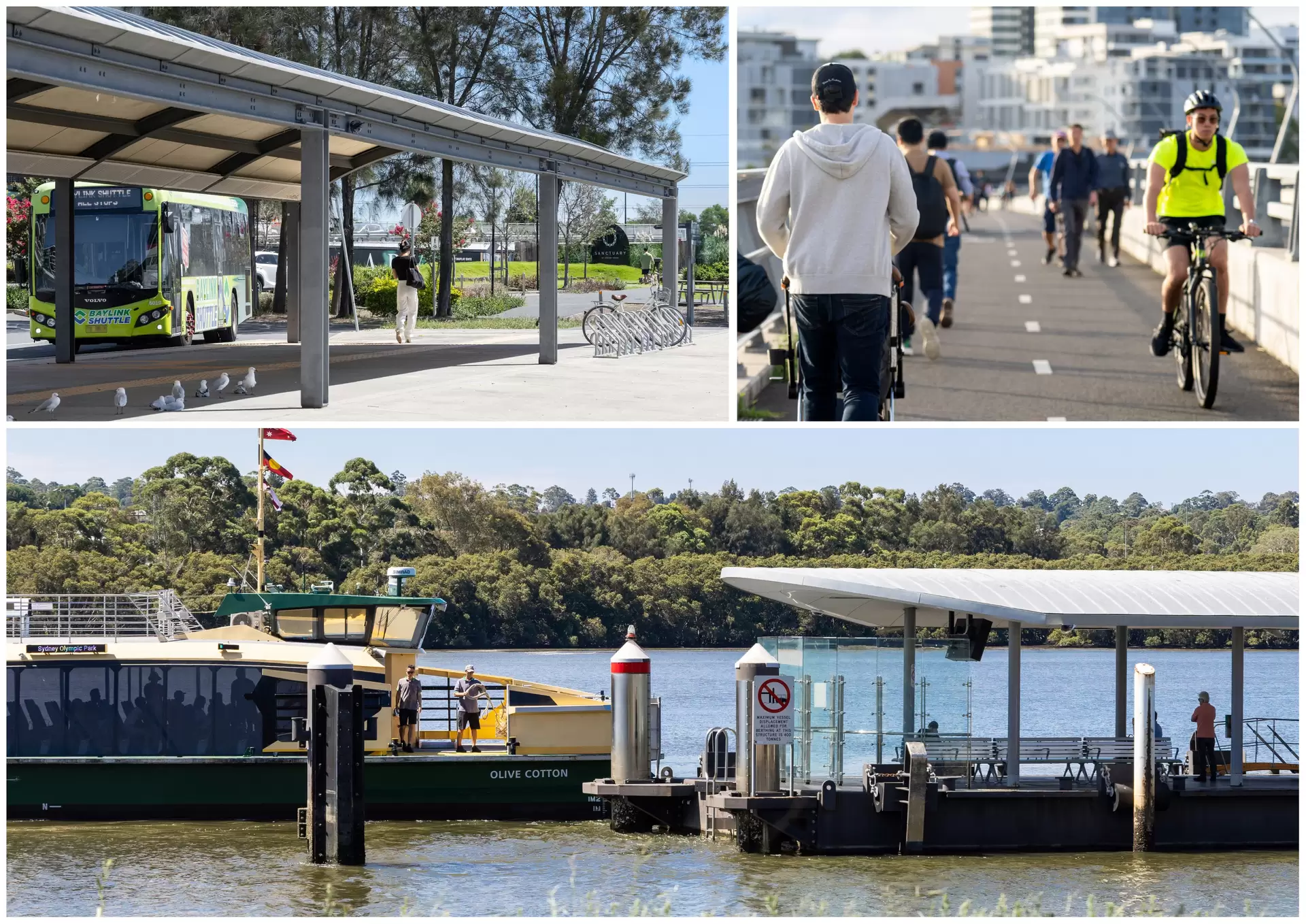 304/1 Half Street, Wentworth Point Sold by Chidiac Realty - image 1